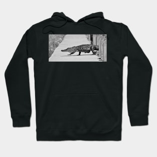 Gator Walking Hoodie